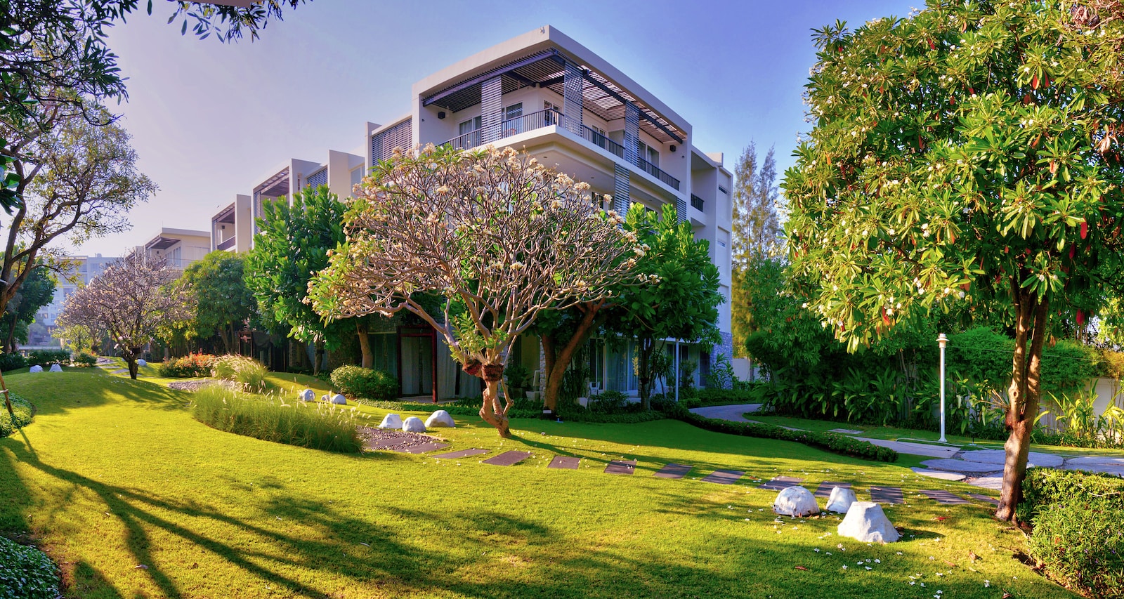 green tree in front of white concrete building