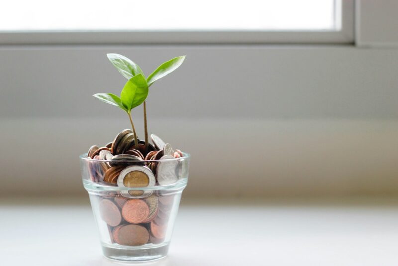 green plant in clear glass cup, business loans